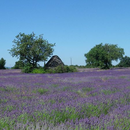 La Mordoree La Motte-d'Aigues Exteriör bild