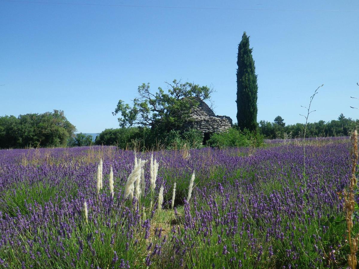 La Mordoree La Motte-d'Aigues Exteriör bild